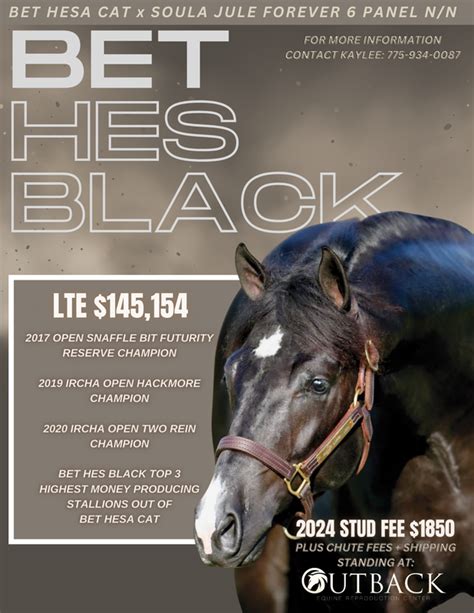 bet hes black stallion.